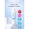Hada Labo Gokujyun Hyaluronic Lotion 170ml – The Gold Standard of Japanese Hydration