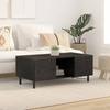 VidaXL Coffee Table, Side Table with Legs and Door, End Table with Storage, Living Room Furniture, Modern, Black Wood 356831
