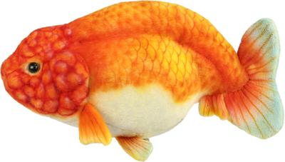 BH8515 HANSA Ranchu 23