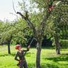 4500W 2.25m Electric Saw Cordless Portable Garden Pruning Tool Brushless High Branch Saw Telescoping Pole