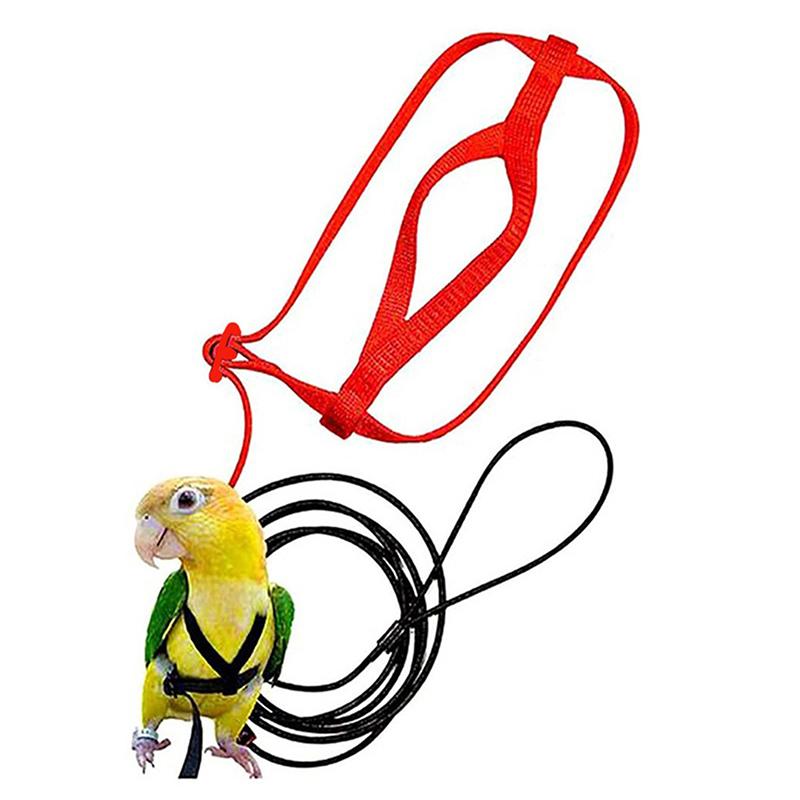 1Pcs Adjustable Parrot Training Harness Anti-Bite Flying Traction Rope Sturdy Strap for Outdoor Walking Flight