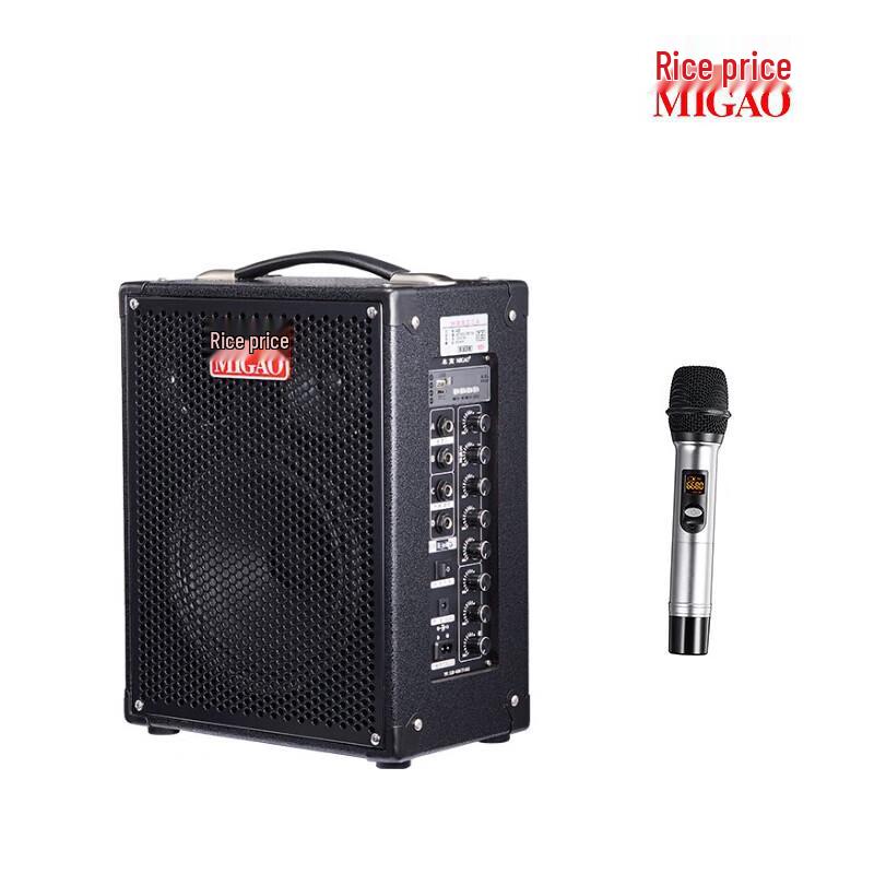 MiGao MG820A-LI Portable Outdoor Instrument Speaker