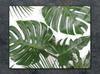SZKLANA DESKA DO KROJENIA 40x30 MONSTERA