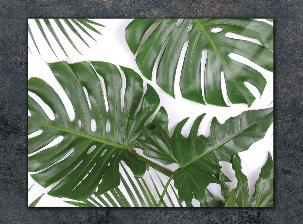 SZKLANA DESKA DO KROJENIA 40x30 MONSTERA