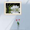 White Lotus 5D DIY Diamonds Mosaic Painting Partial Round Drill Rhinestones Paintings Crystal Creative Handmade Wall Decoration