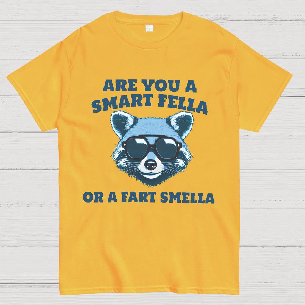 Are You A Smart Fella Or Fart Smella Cotton Summer Casual Cool Loose T-Shirt