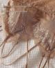 2026 Women's Lace Backless Camisole Bra Top - Soft, Wire-Free with Chest Pads, Ideal for Summer