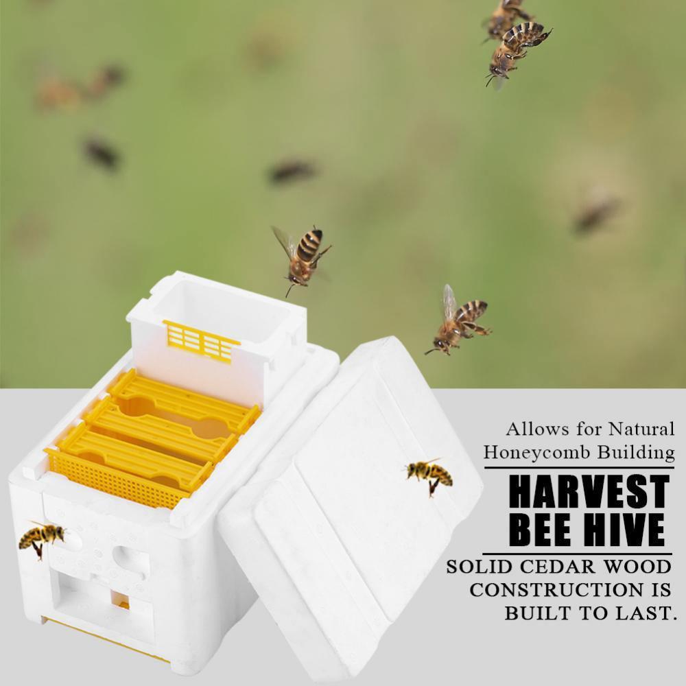 Garden Bee Hive Beekeeping King Box Pollination Box Foam Frames Beekeeping Tools