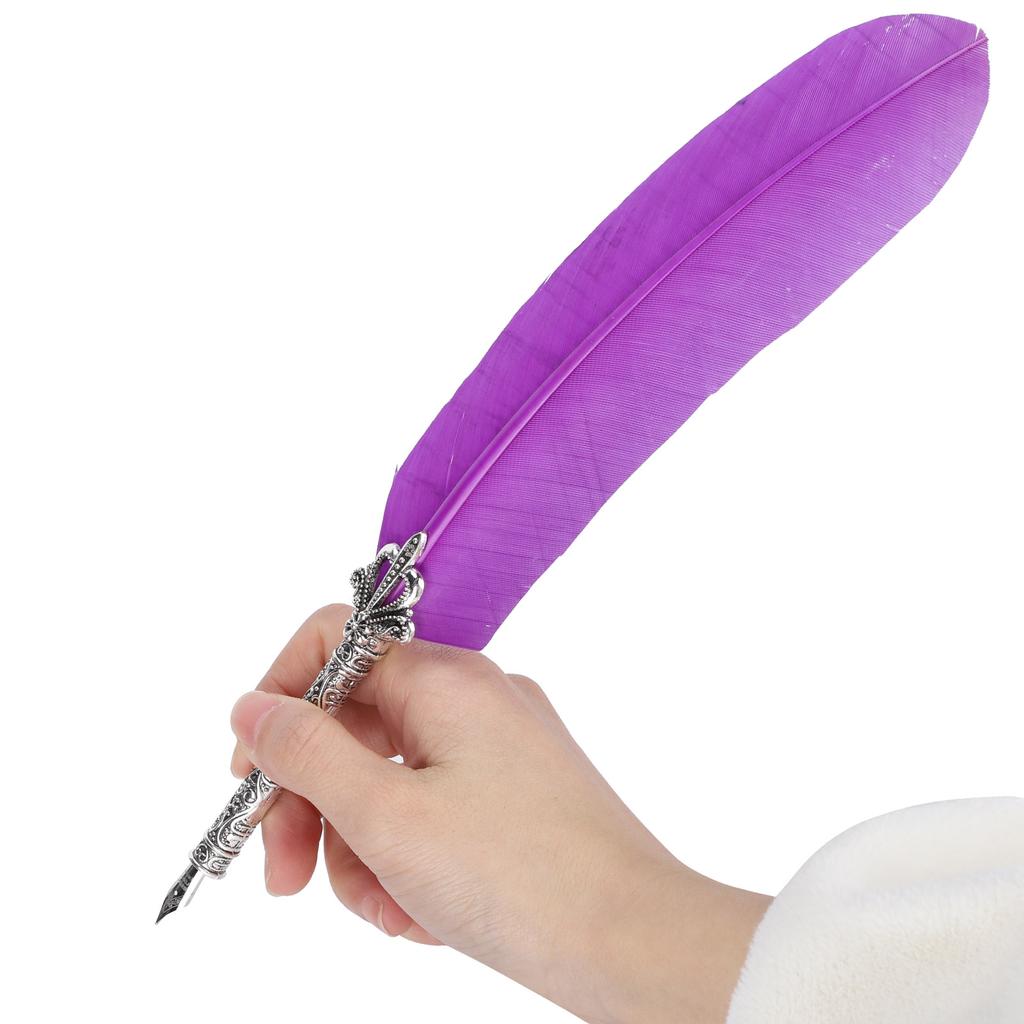 Set di penne d'oca, penna a immersione, timbro, studenti, insegnanti, calligrafia antica, regalo vintage