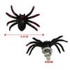 Easy Installation Spider Trim Nut Bolt Trim License Plate
