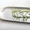 Food Plate Kitchen Storage Tray Cosmetics Food Tray