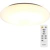 Iris Ohyama Ceiling Light Medium Bulb Color 3200lm CLM-32LD