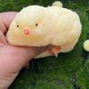 Handmade Chick Taba Toys Ultra Soft Toys For Stress Relief ( Chicken )