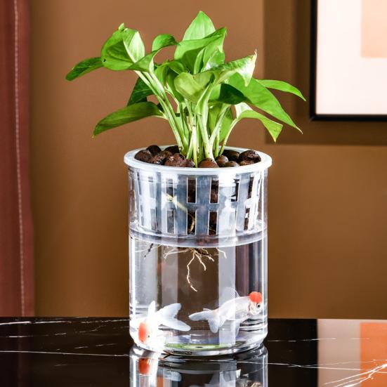 Aquaponik Betta Fischtank Transparenter Kunststoff Bruchfester Pflanzbehälter Ökosystem Aquarium Schreibtisch Aquaponik System für Betta Fisch Zimmerpflanzen