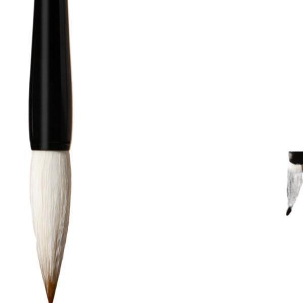 Shanlian Lake Calligraphy Set for Beginners: Inkstone, Ink, Brush