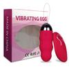 Vibrating Egg for Women Wearable Panties Vibrator Remote Control Vagina Bullet Vibrator Female Masturbation Sex Toy for Women