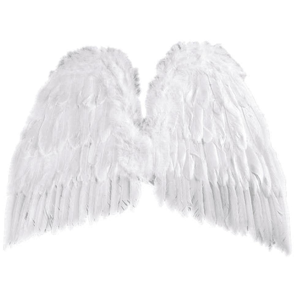 Angel Wings 55X48 1 Pc
