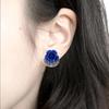 For Grils Rose Flower Zircon Women Stud Earrings Ear Jewelry Drop Earrings Korean Dangle Earrings