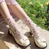 Koreanische Mode Damen Socken Japanischer Stil Spitze Blume Locker Lange Socken Damen Sommer Dünn Netz Atmungsaktiv Harajuku Retro Socken