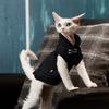 Katzen – Kleidung für Katzen