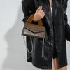 High-quality Small Square Bag for Women  Brown Stone Pattern  Crossbody Bag  New  Autumn and Winter