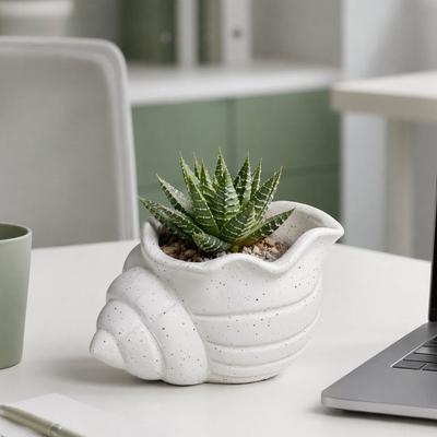 3D-gedruckter Muschelblumen-Mini-Pflanztopf, feuchtigkeitsbeständig