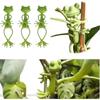 5pcs Cute Stable Green Plant Supports Holder Fixing Clip Frog Plant Stand
