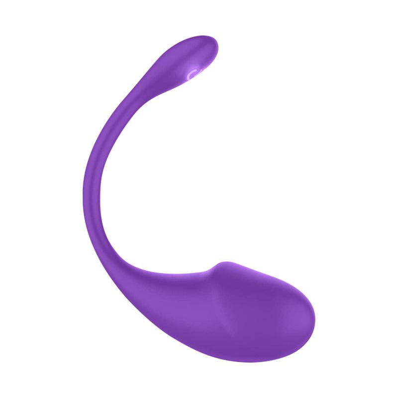 Women's Wearable Remote Control Vibrator with APP