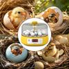 Incubator for Hatching Eggs Automatic Eggs Hatching Turner Temperature Humidity Control for Small Bird Eggs