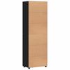 FLORIN Highboard with Doors Black 60 x 35 x 182 cm Particleboard