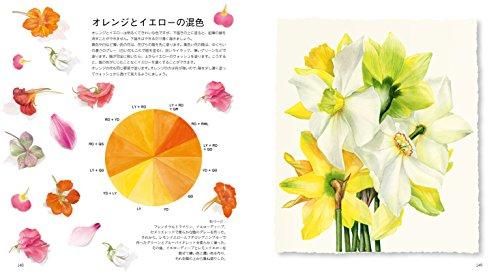 Watercolor Botanical Art