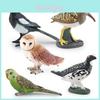 Colecție de Modele de Animale Păsări din PVC cu Coțofană, Papagali și Bufniță pentru Amenajare Grădină și Decor Casă