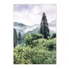 Nordic Green Forest Grassland Lake Landscape Poster Valley Path Boat Wall Art Canvas Painting Pictures Living Room Home Decor