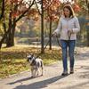 Nylon P Chain Leash Black No Pull Dog Lead Anti Pull Dog Walking Rope  Small Medium Dogs