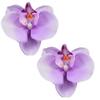 2pcs Korean Style Artificial Butterfly Orchid Decoration Flowers Orchids  Car Home Decoration