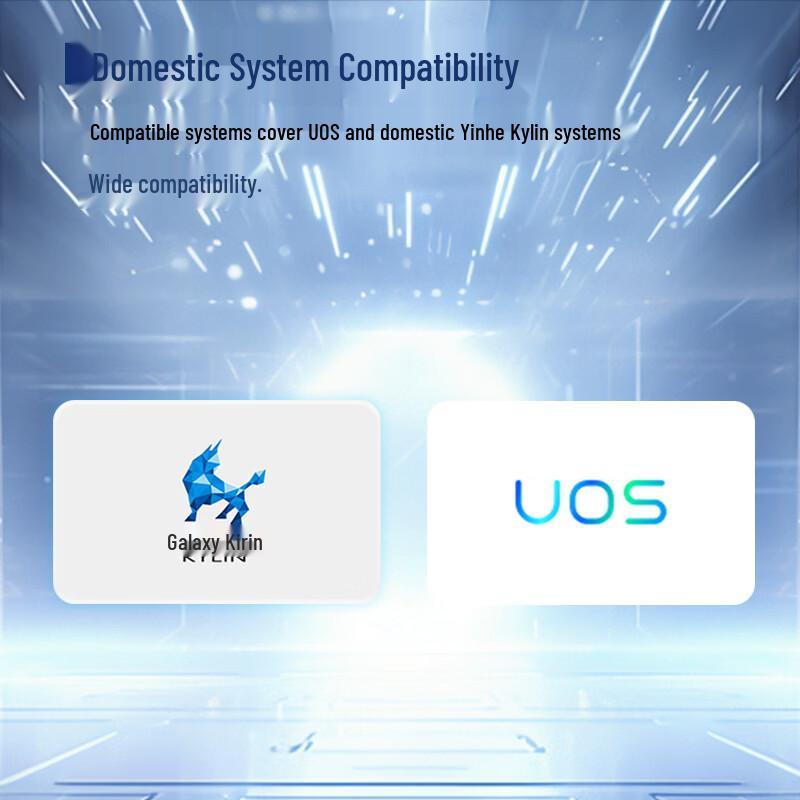 VMLINK IPC-2U577 Xinchuang Rack Server (CN version)