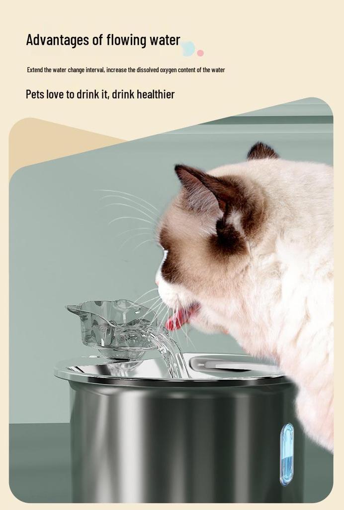 Smart Stainless Steel Pet Water Fountain with Light & Automatic Filtration for Cats