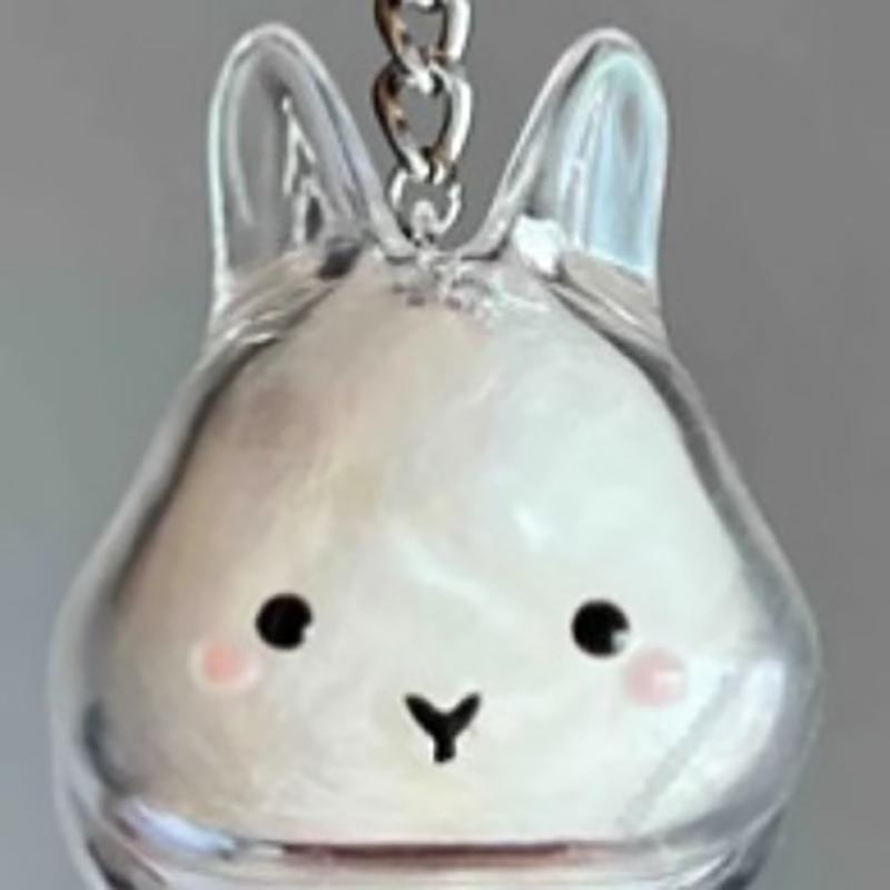 Transparente Aufbewahrungsbox für Welpenfell Niedliche Tierfell-Aufbewahrung Anhänger Dekoration Gedenkstaubbox Geschenk