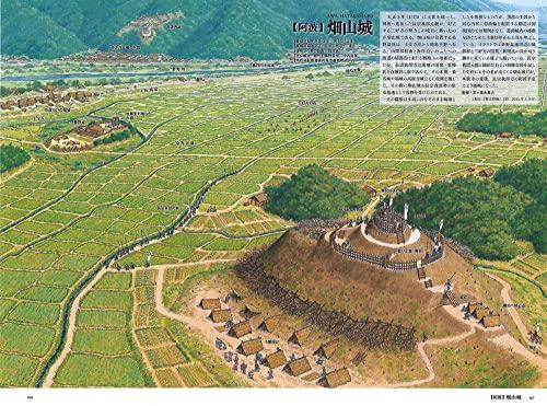 Wide & Panoramic Bird's-Eye View & Reconstruction Illustrations of Japanese Castles