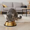 Large Capacity Pet Feeding Bowl Stainless Steel Anti Slip Dog Drinking Basin Metal Gold Plated Dog Water Food Bowl For Dogs Cats
