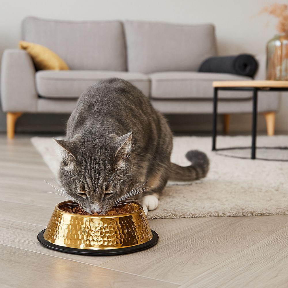 Large Capacity Pet Feeding Bowl Stainless Steel Anti Slip Dog Drinking Basin Metal Gold Plated Dog Water Food Bowl For Dogs Cats