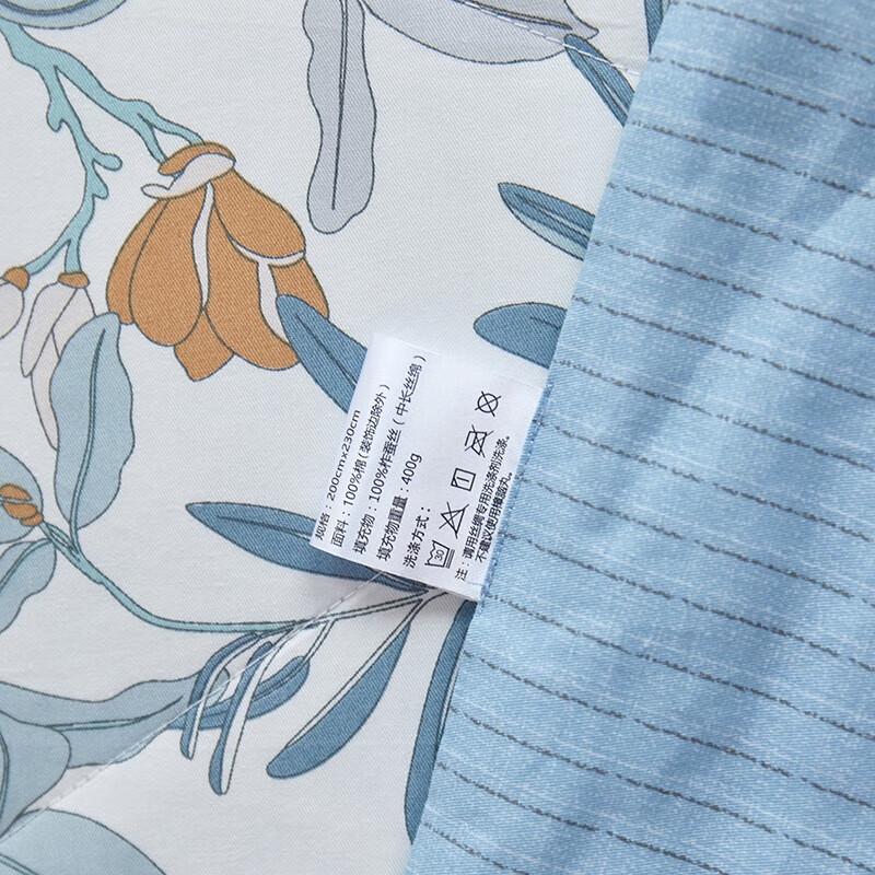 Taihuxue Tussah Silk Summer Cooling Quilt