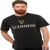 Футболки Guinness Harp Premium Irish Beer для чоловіків _ Чоловічі вінтажні футболки з логотипами алкоголю _ Пивні подарунки з Ірландії