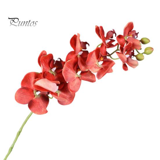 

Искусственные стебли орхидеи-мотылька Искусственные цветы фаленопсиса Неприхотливые в уходе Искусственные цветы для вазы Цветочные композиции Украшения для вечеринки дома