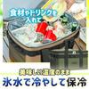 Cooler Box Insulated Freshness with Mesh Picnic 23L, (Hot & Cold), Preservation, Pocket, (Olive)
