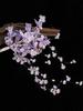 2026 New Chinese Style Flower Hairpin Pearl Luxury Tassel Side Clip Side Clip Bridal Headwear Hairpin Flower Women's Accessories