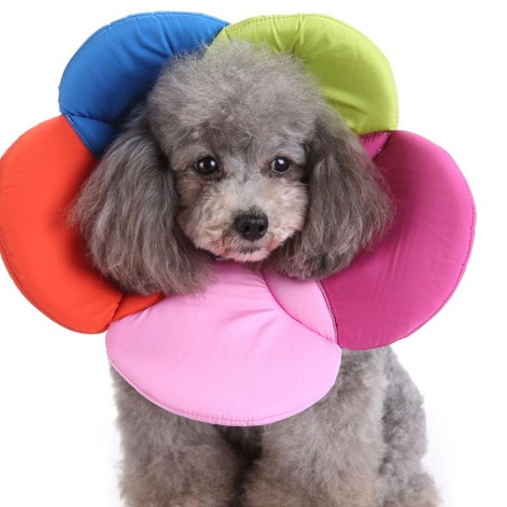 Comfortable Protective Pet Recovery Collar Prevent Biting & Scratching Tool Colorful Flower Shape Collar