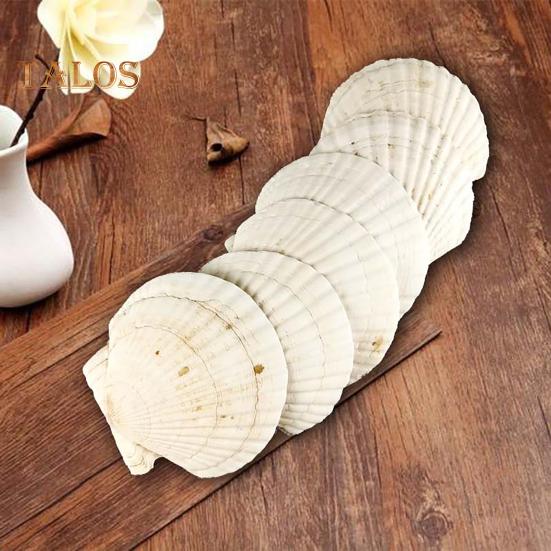 10 ks Přírodních mušlí hřebenatek DIY řemesla Dekorace na tématickou párty Jasně bílé mušle Šperky Vánoční dekorace