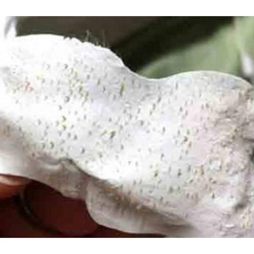 Kit Mefactory Pig Nose Clear Blackhead în 3 pași (10 coli x 1 pachet)