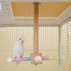 Colorful Spinning Parrot Stand Chew-Proof  Toy Interactive Play Perch Entertaining Cockatiel Swing Stimulating Foraging Climber